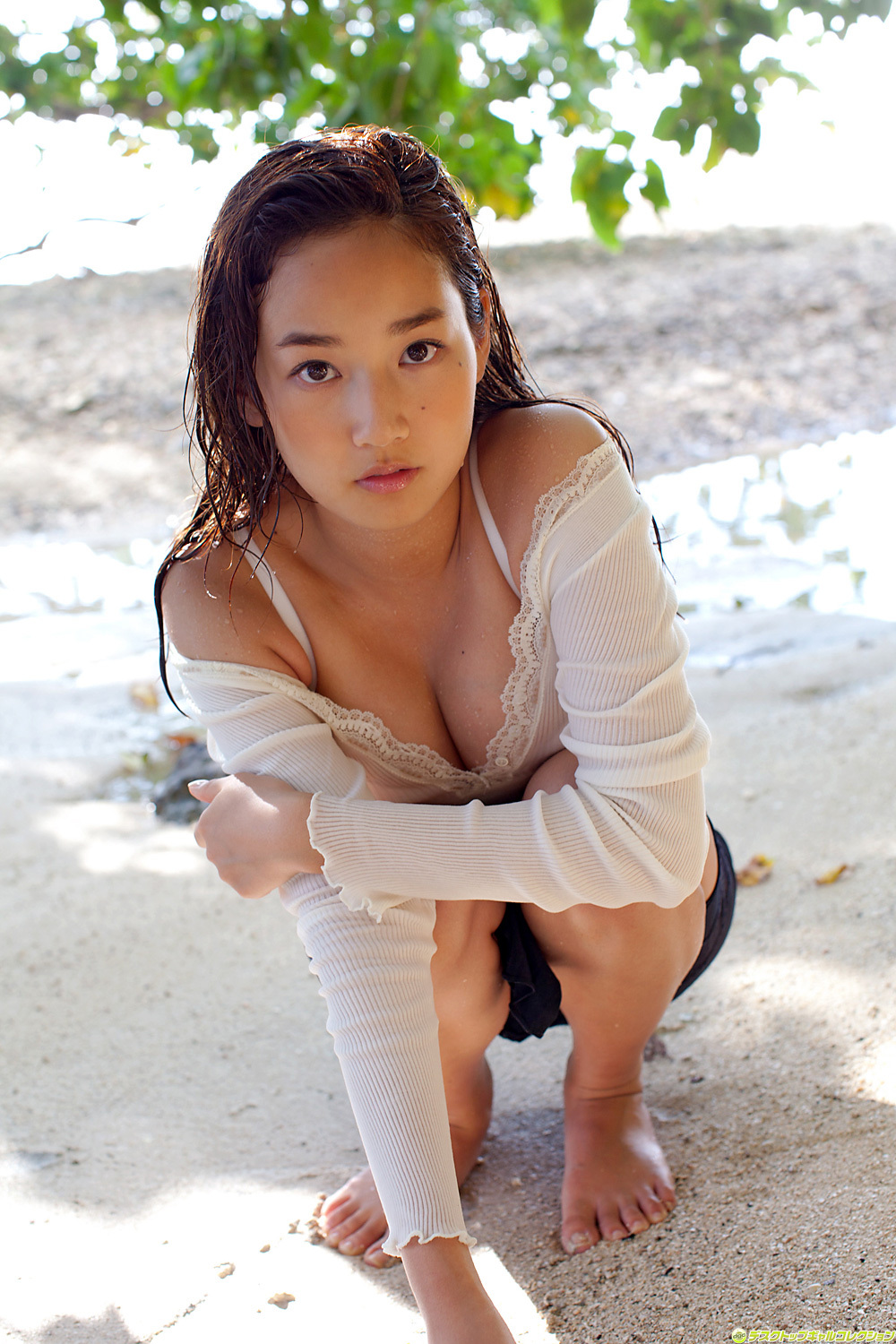 高嶋香帆 Kaho Takashima [DGC]2011年11月號 No.982  日本唯美写真
